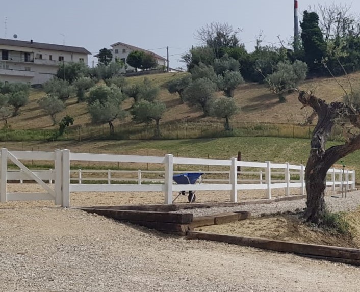 Guida alle Recinzioni per Terreni