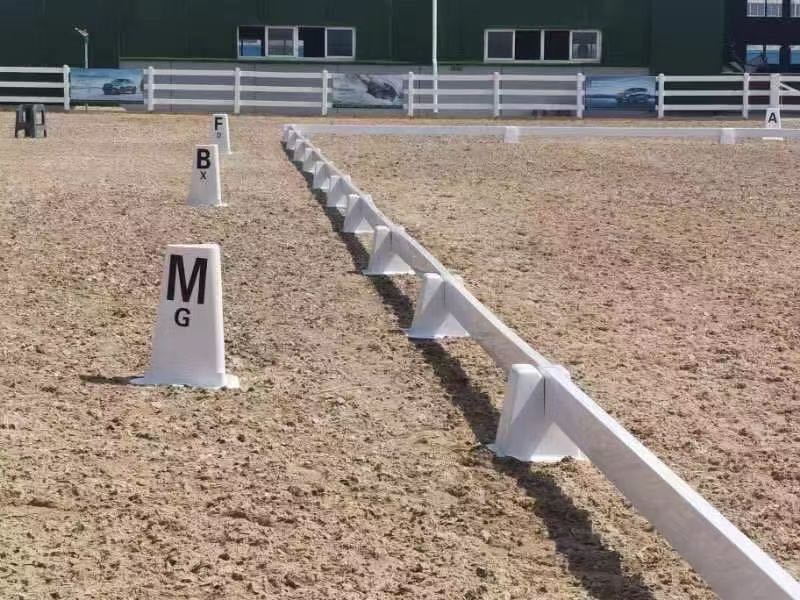 Pulizia e Manutenzione del Dressage: Guida Facile